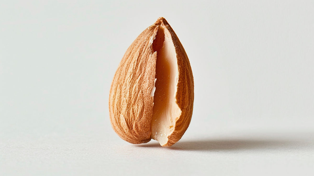 Sweet almond